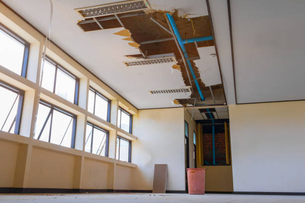 Best Flooded house restoration  in Rock Rapids, IA