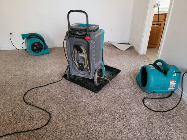 Best Emergency water damage restoration  in Rock Rapids, IA