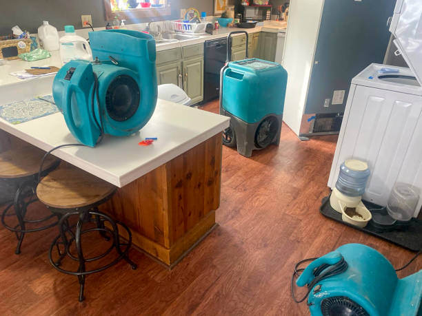 Best Water damage restoration company  in Rock Rapids, IA