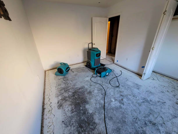 Best Sewage cleanup and water damage restoration  in Rock Rapids, IA
