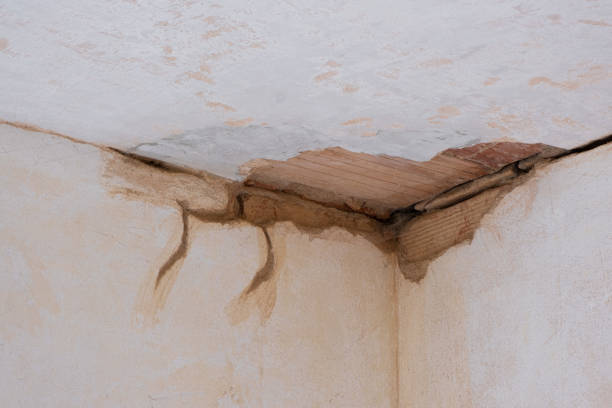 Best Basement water damage restoration  in Rock Rapids, IA