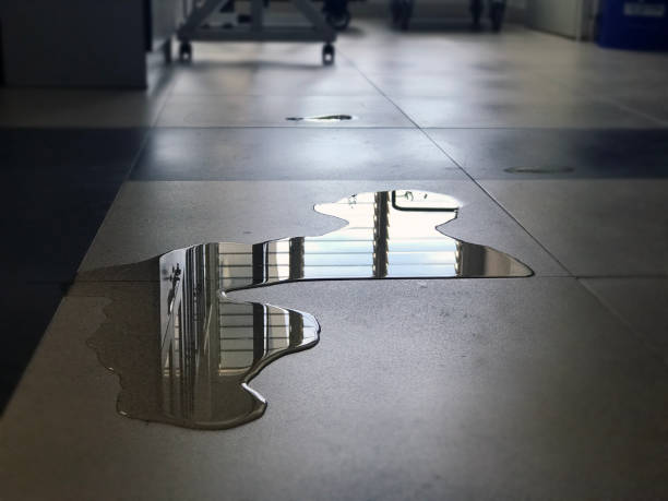 Best Local water damage restoration  in Rock Rapids, IA