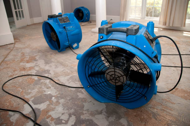 Best Water damage restoration near me  in Rock Rapids, IA
